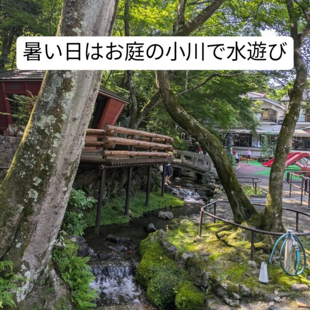 幼稚園の中をびわ湖からの疏水の水が流れています

#永観堂幼稚園 
#永観堂
#疏水