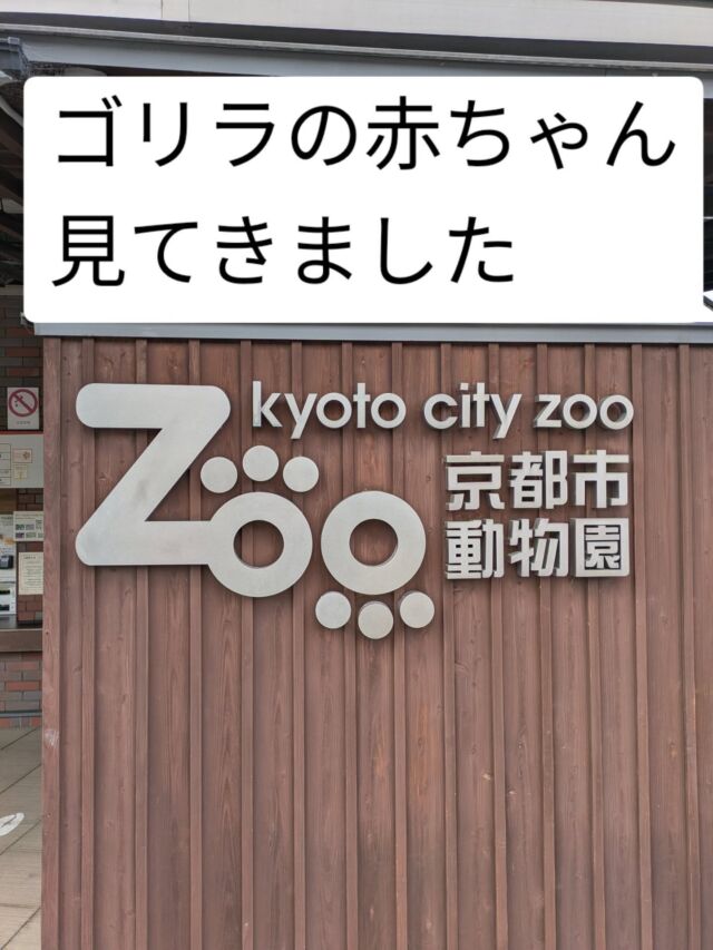 京都市動物園で11月24日にゴリラの赤ちゃんが生まれました

幼稚園から近いのでバスに乗って見に行きました

#永観堂幼稚園
#永観堂
#京都市動物園
#ゴリラ