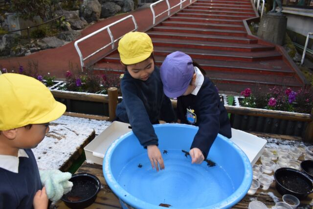 １年で一番寒い大寒のこの時期
　
子どもたちは園庭の雪や氷を触ってその感触や変化など今の時期にしかできない遊びを楽しんでいます

#永観堂幼稚園　
#永観堂　
#大寒　
#氷あそび