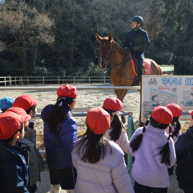 今年の干支である馬を見るため、京都府警察の騎馬隊である「平安騎馬隊」の見学に行きました

騎馬隊があるのは東京と京都のみだそうです

#永観堂幼稚園　
#永観堂　
#平安騎馬隊