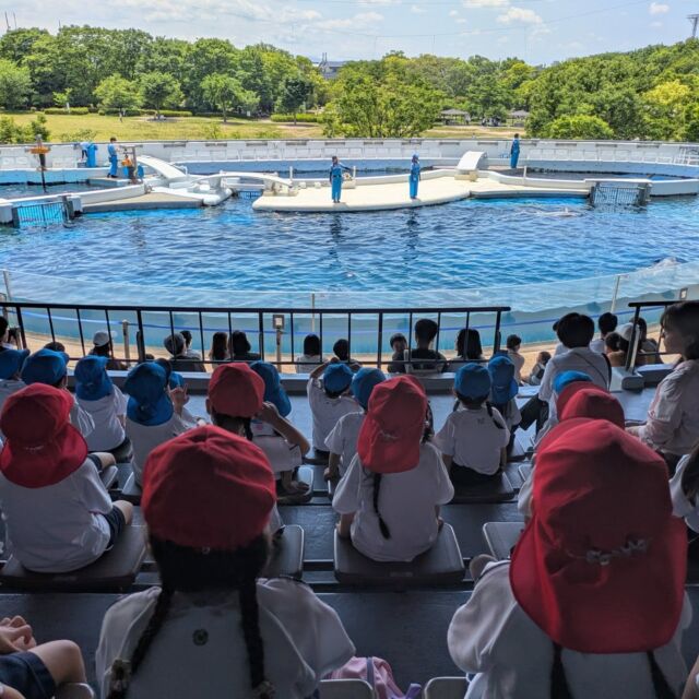 【年中組遠足】
GW明け、年中組が遠足で京都水族館へ。
「イルカのがっこう」でイルカについて学びながら、ジャンプするイルカたちに大歓声
たくさんの海の生き物に出会えた１日でした

#永観堂幼稚園
#永観堂
#京都水族館
#イルカのがっこう
#遠足